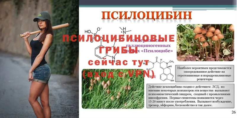 Галлюциногенные грибы Magic Shrooms  Енисейск 